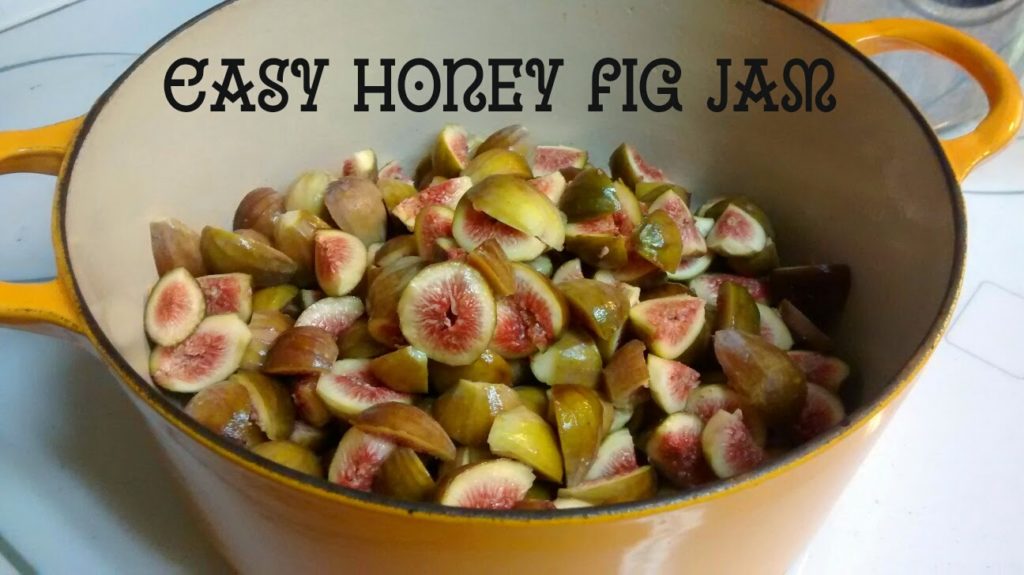 Clever Chicks Blog Hop at The Chicken Chick® Fig & Honey Jam, shared by Homestead Heroine