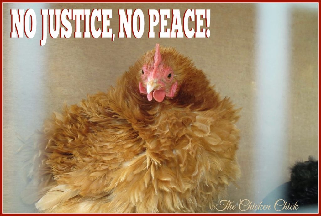 No justice, NO PEACE!