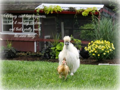 Money can't buy happiness, but it can buy chickens and that's pretty much the same thing.