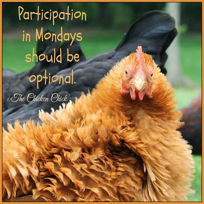 Participation in Mondays should be optional