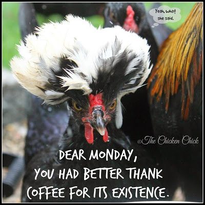Dear Monday, you had better thank coffee for its existence.