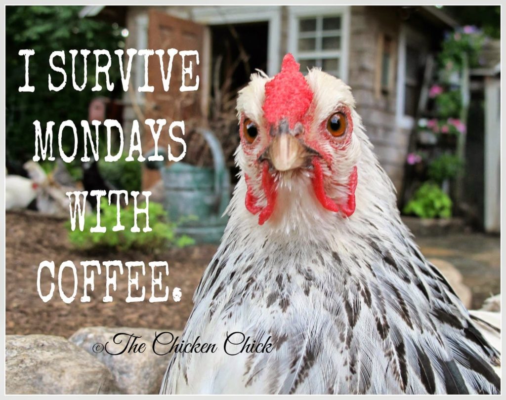 I survive Mondays with Coffee.