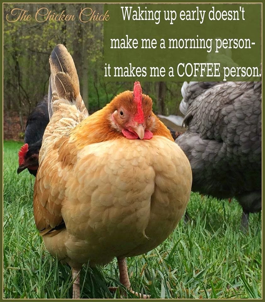 waking up early doesn't make me a morning person, it makes me a COFFEE person