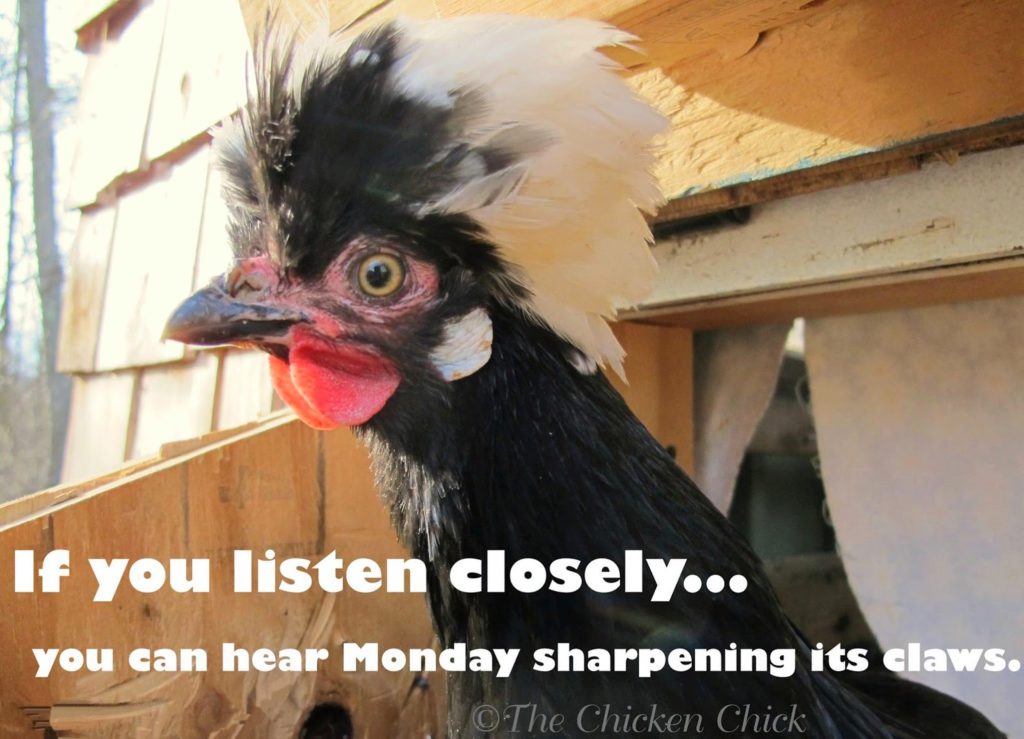 If you listen closely, you can hear Monday sharpening its claws.
