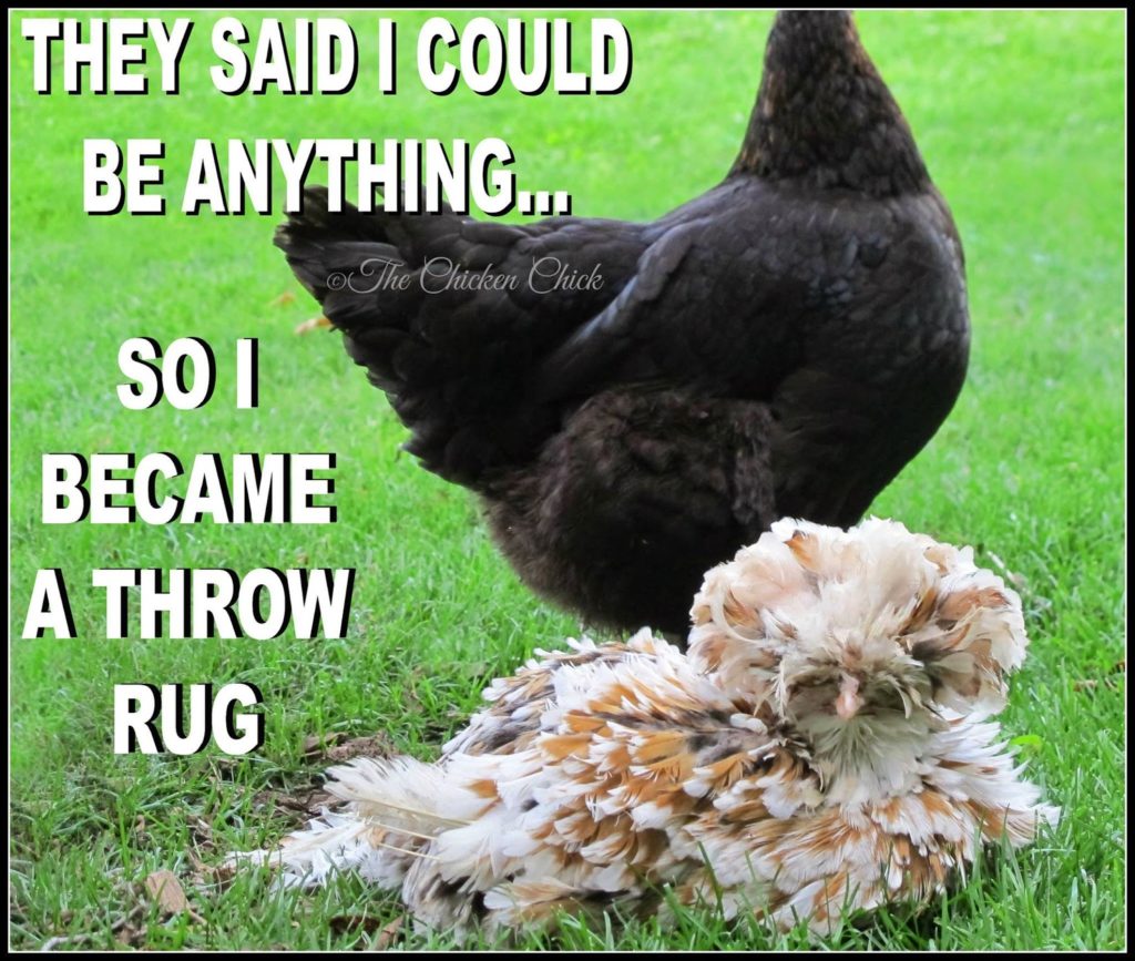 They said I could be anything, so I became a throw rug.