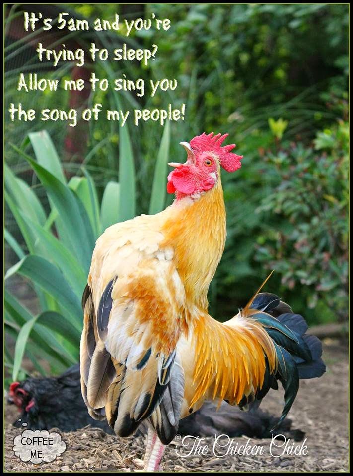 It's 5am and you're trying to sleep? Allow me to sing you the song of my people!