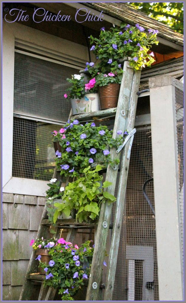 Upcycled Ladder Planter