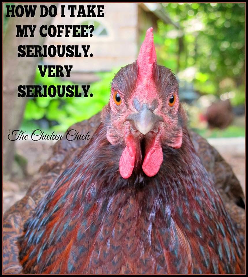 How do I take my coffee? Seriously. Very seriously.