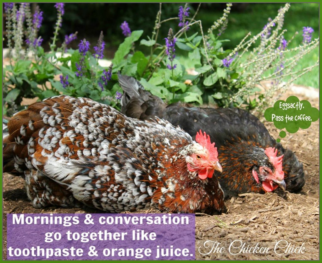 Mornings & conversation go together like toothpaste & orange juice.