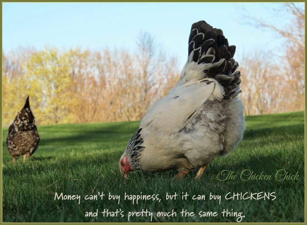 Money can't buy happiness, but it can buy chickens and that's pretty much the same thing.