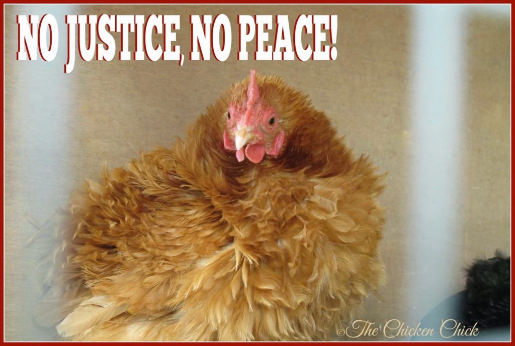 No justice, no peace!
