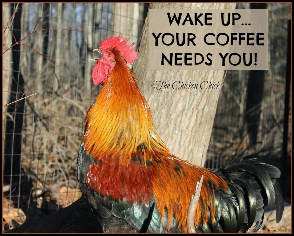 Wake up...your coffee needs you!