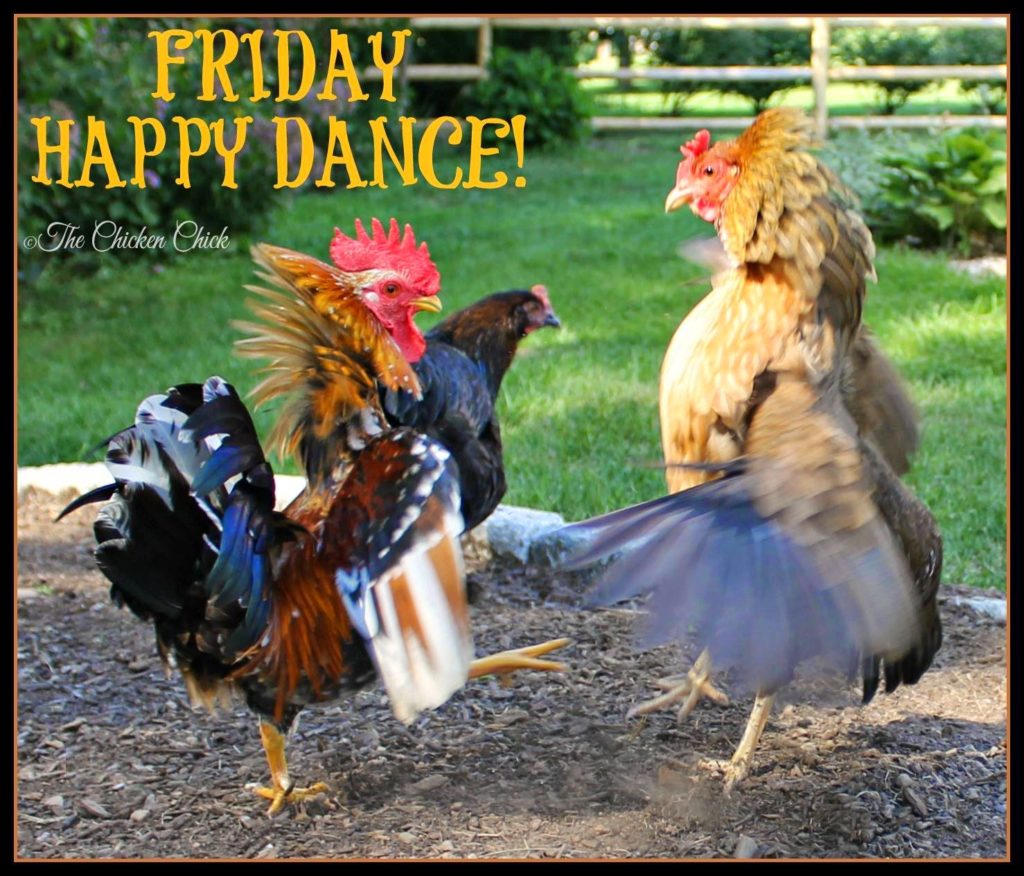 Friday Happy Dance!