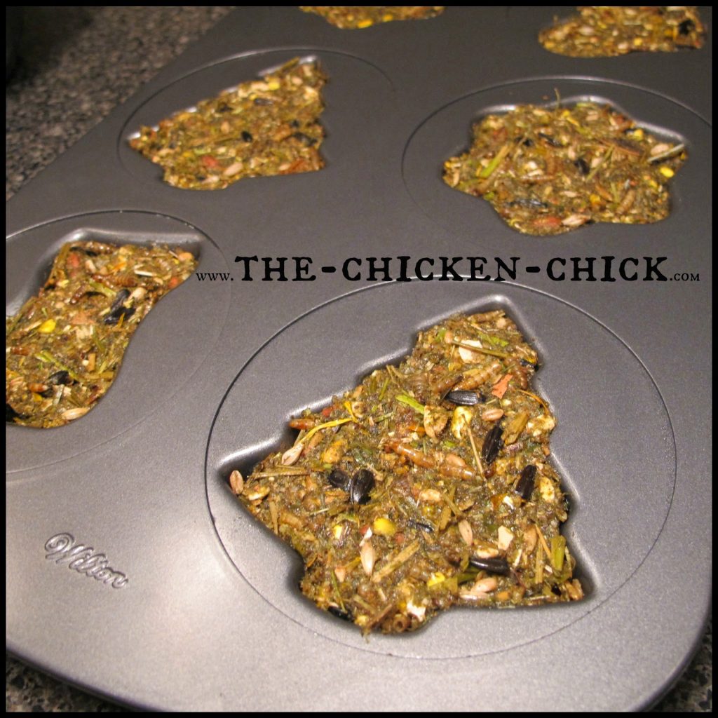 During a molt, chickens lose their feathers and grow new ones, which places great demands on their energy and nutrient stores. Since feathers consist of 85% protein, supplementing chickens’ diet with additional protein can help them get through the process. This protein-packed alfalfa cake recipe is a fantastic way to provide molting chickens with a variety of protein sources in one treat while keeping them entertained and active. 