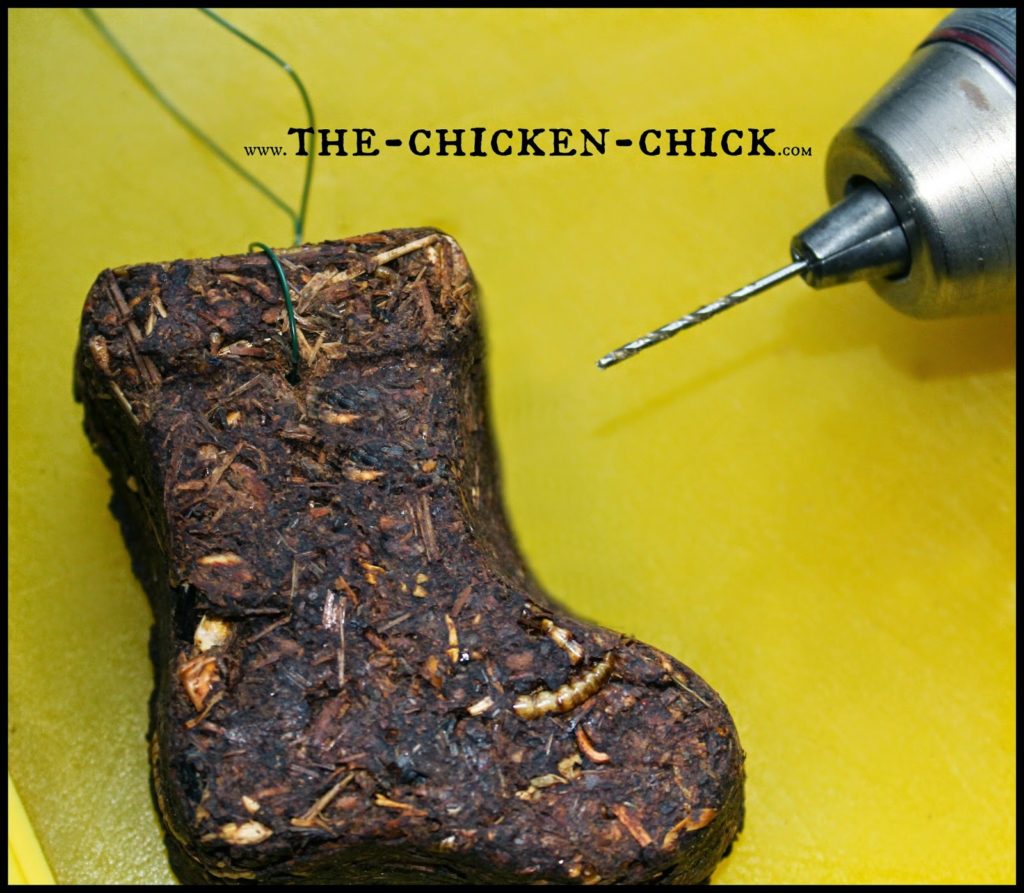 A vedlés során a csirkék elveszítik a tollazatukat, és újakat növesztenek, ami nagy igényt támaszt az energia- és tápanyagraktáraikra. Mivel a toll 85%-ban fehérjéből áll, a csirkék étrendjének további fehérjével való kiegészítése segíthet nekik átvészelni a folyamatot. Ez a fehérjedús lucernatortarecept fantasztikus módja annak, hogy a vedlő csirkéknek többféle fehérjeforrást biztosítsunk egy finomságban, miközben szórakoztatjuk és aktívan tartjuk őket. 