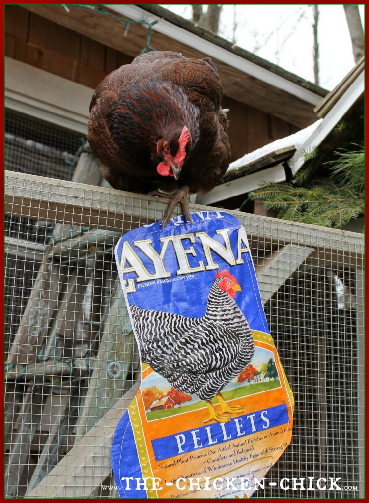 Place permanent template on top of a feed bag and trace around with a permanent marker, pin inside the stocking outline, cut out stocking and sew closed.