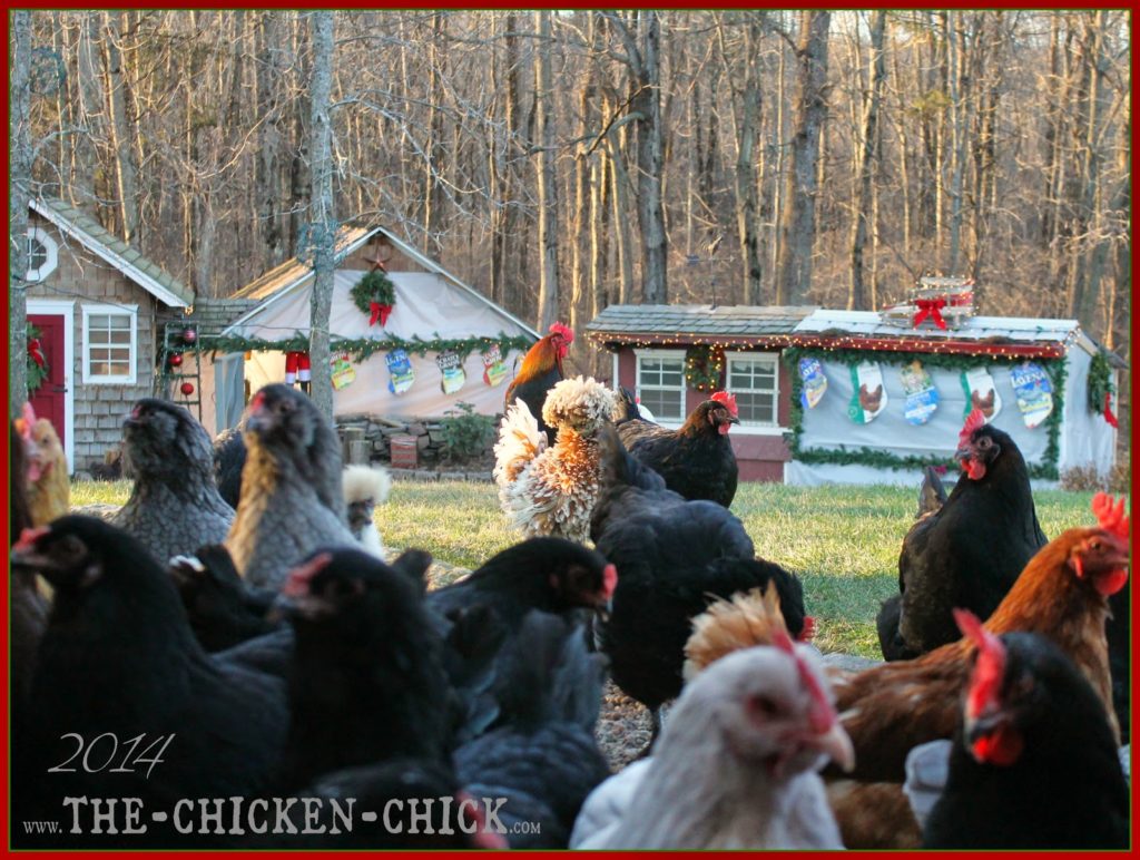 Today I am sharing my DIY repurposed feed bag chicken Christmas stocking tutorial so you can make them yourself and I can stop selling them in my online store and focus more on cookie baking next year!