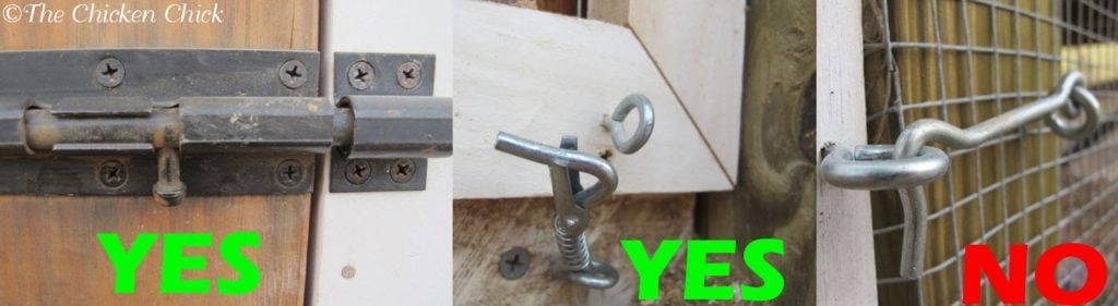 Opt for barrel locks, padlocks, or any other lock that requires multiple steps to unlatch. Raccoons can operate simple locks and turn basic chicken coop door handles.