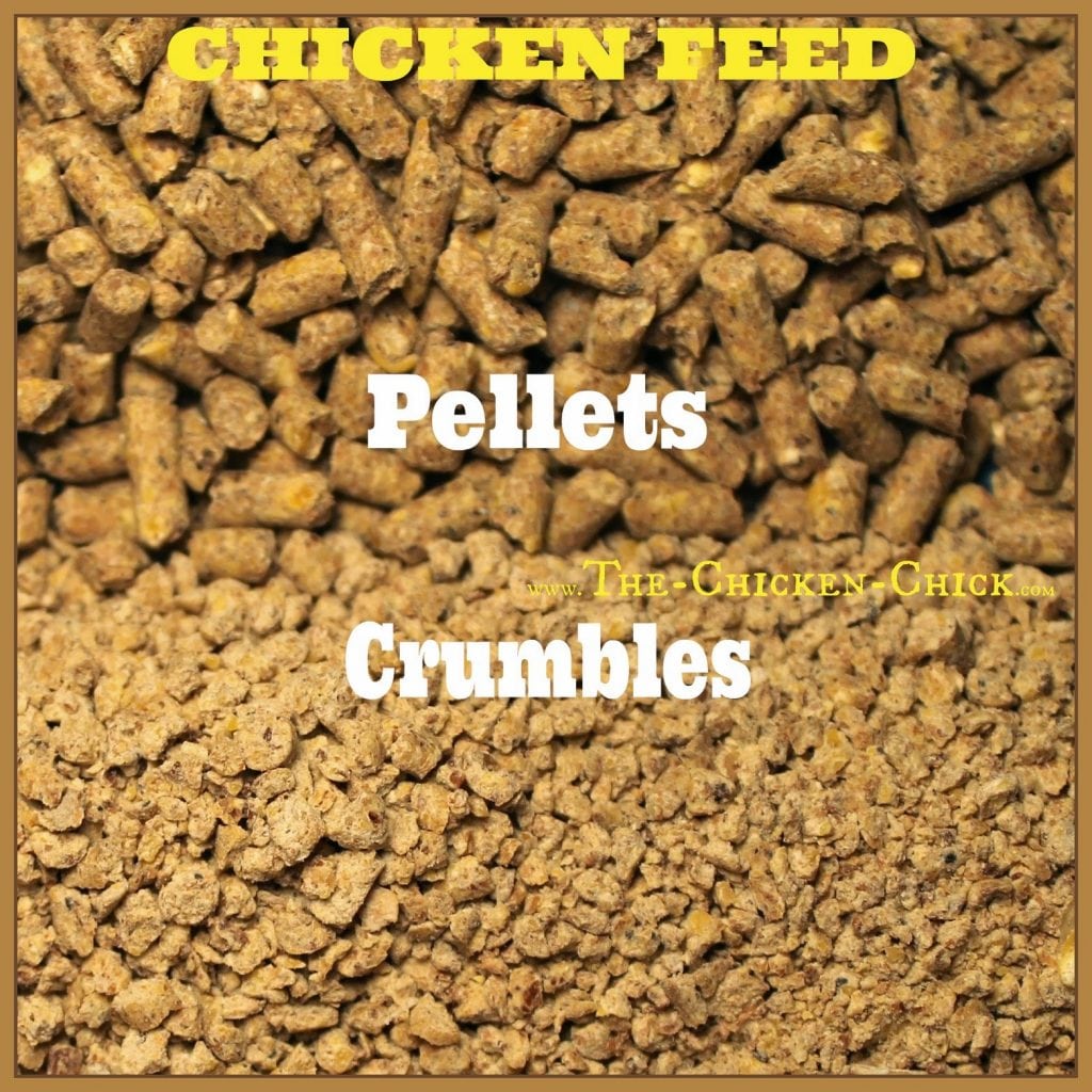 Provide feed in crumbles form instead of pellets to extend the amount of time birds spend pecking up feed to satisfy their appetites.