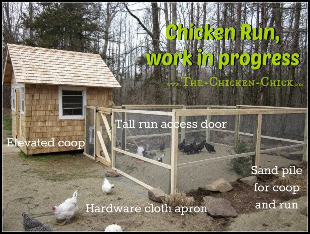 Chicken Coop Design Essentials, Details and Luxuries Guide