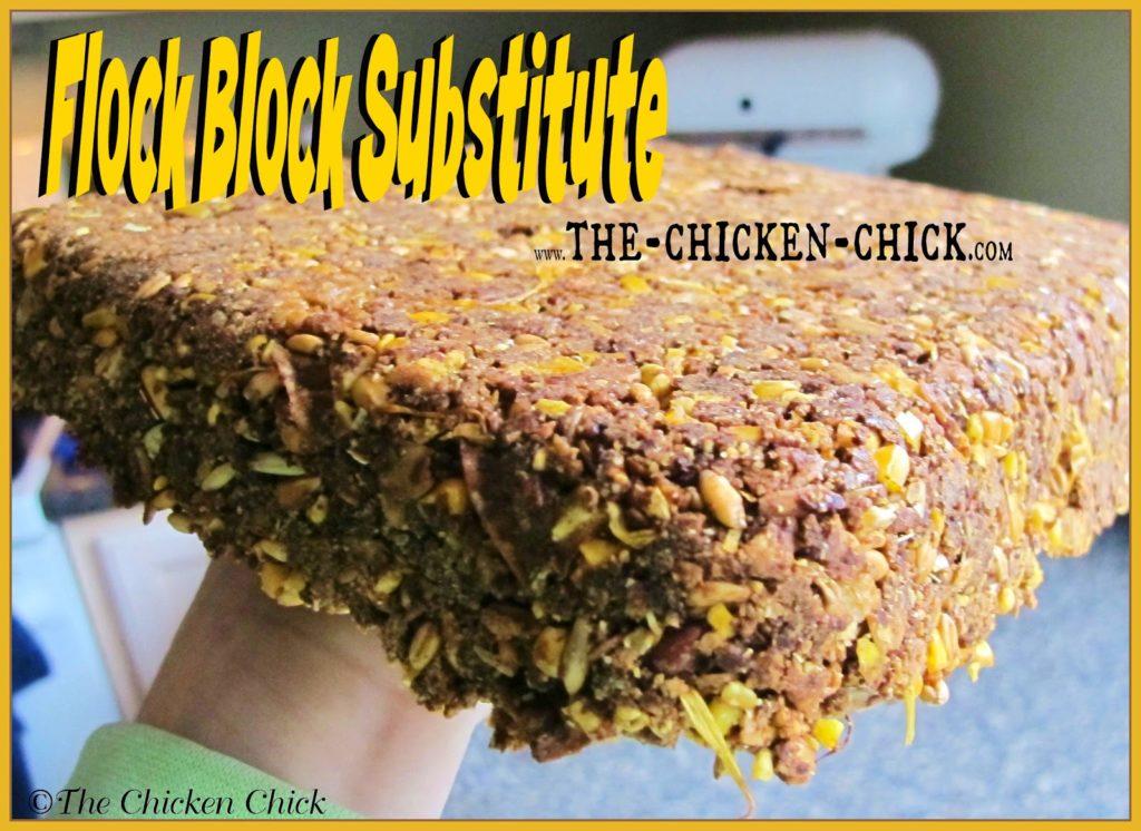 Get the recipe for my nutritious, Homemade Flock Block Substitute here!