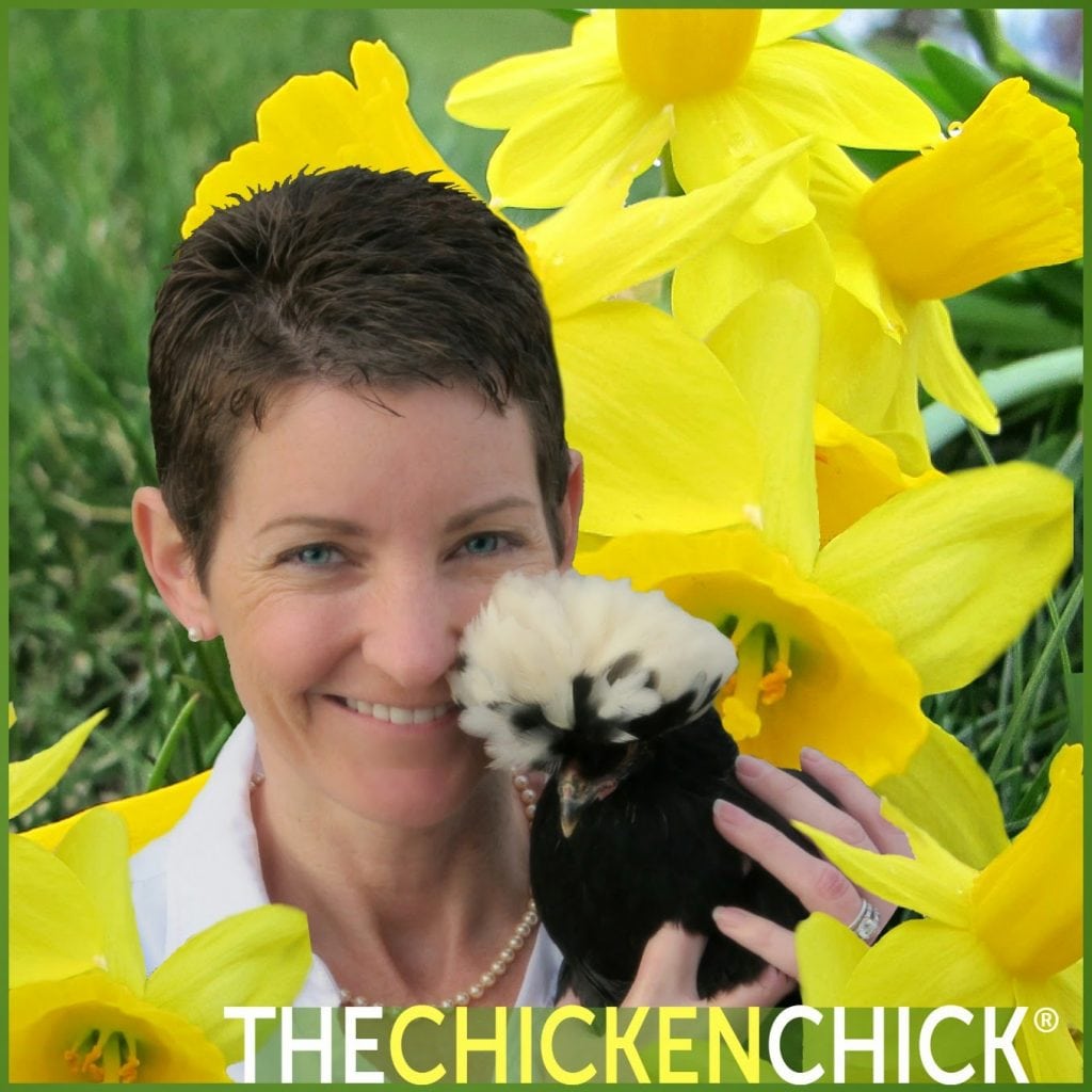 Kathy Shea Mormino, The Chicken Chick®