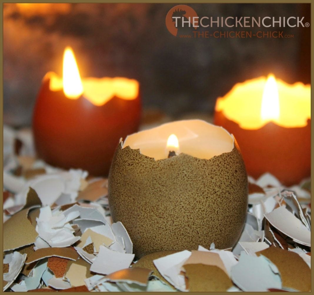 DIY Eggshell Candles Tutorial The Chicken Chick®