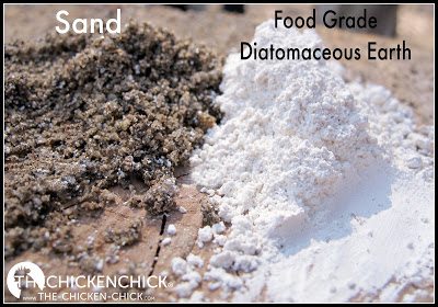 Food grade diatomaceous earth is a fossilized mineral dust with microscopic, razor-sharp edges that acts as a mechanical insecticide, slicing into insects' bodies, dehydrating them to death. Regular exposure to diatomaceous earth is a health hazard to chickens since, when inhaled, its crystalline silica particles adhere to and scar their lung tissue. Diatomaceous earth loses its effectiveness when wet, therefore cannot de-worm chickens, ie: DE cannot eliminate a worm overload from the digestive tract of a chicken mechanically. While there are trace minerals in DE, there are other, much safer, natural sources of trace minerals for chickens to consume without the respiratory health risk DE poses.