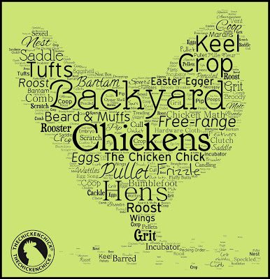 Illustrated Glossary of Essential Chicken Terms