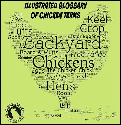 an illustrated index of chicken-related terms, abbreviations and lingo commonly used in literature, online and in conversations at the feed store