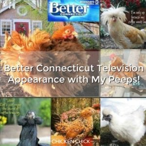 Better Connecticut Television Appearance with My Peeps!