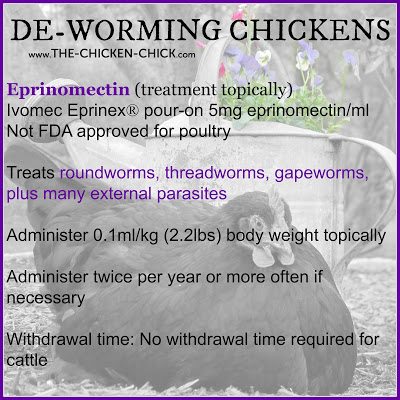 Worms | De-Worming Chickens