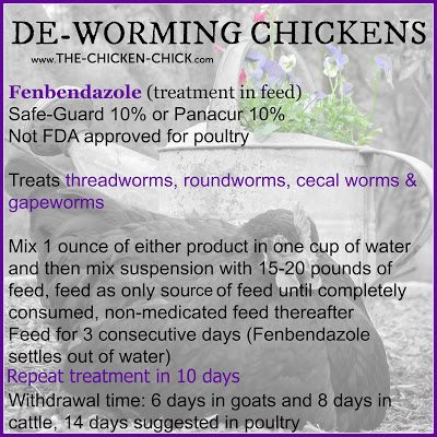 Worms | Safe-guard (fenbendazole) 10% treats threadworms, roundworms, cecal worms and gapeworms. Dosage for paste version: place a pea-sized dollop in beak or inside a piece of bread. Repeat treatment in 10 days. 