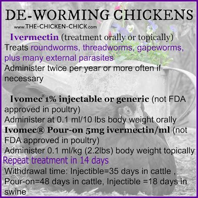 Worms | Ivermectin pour-on, applied to the back of chicken's neck; 1 drop for tiny chickens, 3 drops for bantams, 4 for lightweight birds, 5 for large birds and 6 for heavy breeds. Repeat treatment in 14 days. 