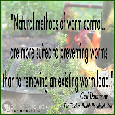 Worms | Natural methods of worm control differ from chemical dewormers in not paralyzing or killing existing parasites but rather work by making the environment inside the chicken less attractive, or downright unpleasant, for parasites to take up residence. They are therefore more suited to preventing worms than to removing an existing worm load." Gail Damerow, The Chicken Health Handbook, 2ed