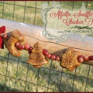 Recipes For Chickens The Chicken Chick