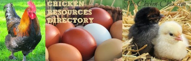  Chicken Resources Directory at The Chicken Chick®