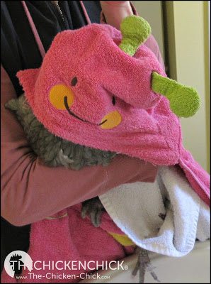  loosely wrapping a bird in a towel, covering its head and eyes while ensuring ample breathing room keeps a bird immobilized, safe and calm.