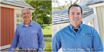 My discussions with Dr. Ballam, Dr. Biggs and Dr. McKillop confirmed two clear points: poultry nutrition is very complicated and laying hens are extremely sensitive to what they are fed. 