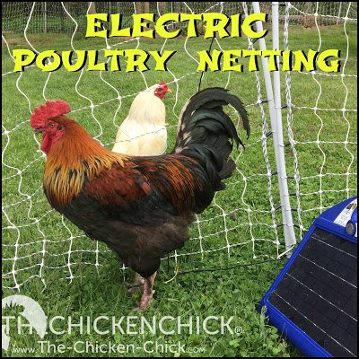 Portable Electric Poultry Netting