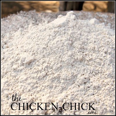 The Cut & Dry Truth about Diatomaceous Earth DE & Chickens