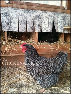 Chicken Straw Topper