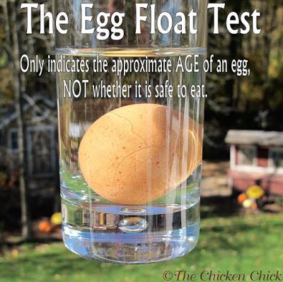 The egg float test does NOT reveal whether an egg is safe to eat- it only offers an approximate age of an egg.