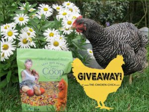 Spruce the Coop GIVEAWAY