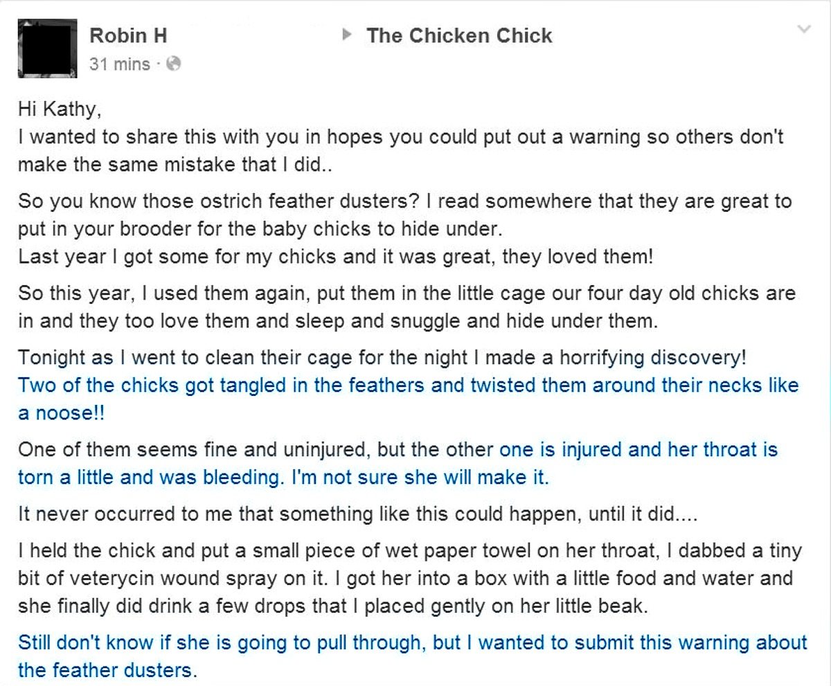 Readers account of feather duster strangulation Reader's account of feather duster strangulation