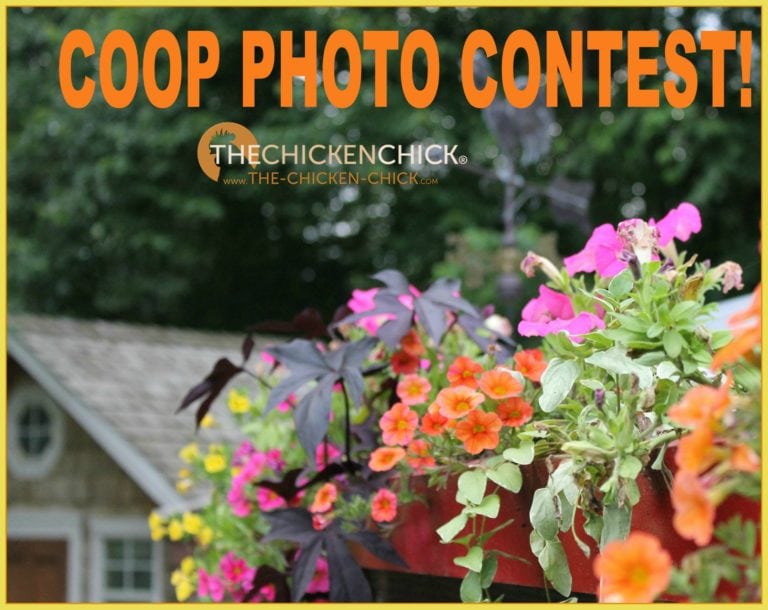 Coop Photo Contest