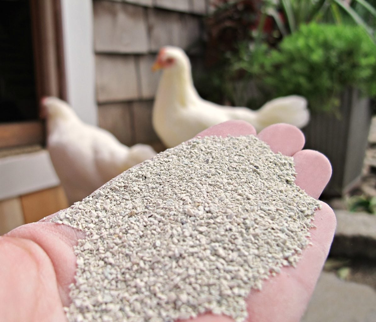 The Chicken Chick's Sweet-Coop® Zeolite