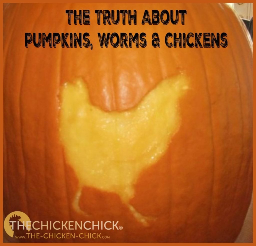 The truth about pumpkins, worms and chickens