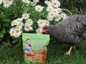 Spruce the Coop® Herbal Fusion