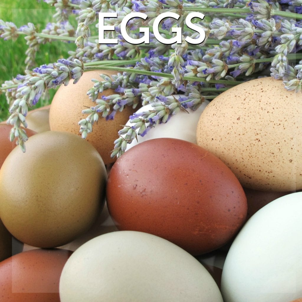 Eggs